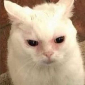 Meet your Posher, Ben